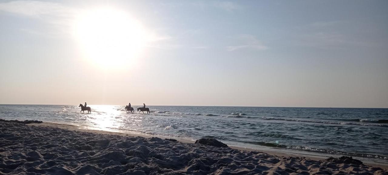 Private Seaside Home ساسينو المظهر الخارجي الصورة